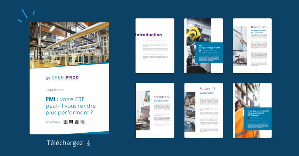 Guide pour les PMI vers un ERP pour plus de performance