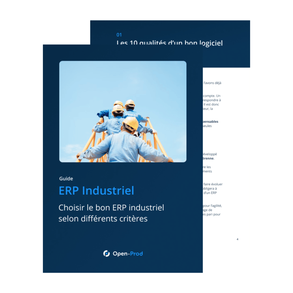 Guide différents critères de choix d'un ERP industriel